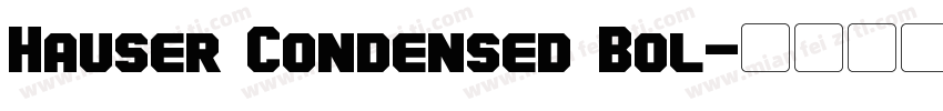 Hauser Condensed Bol字体转换